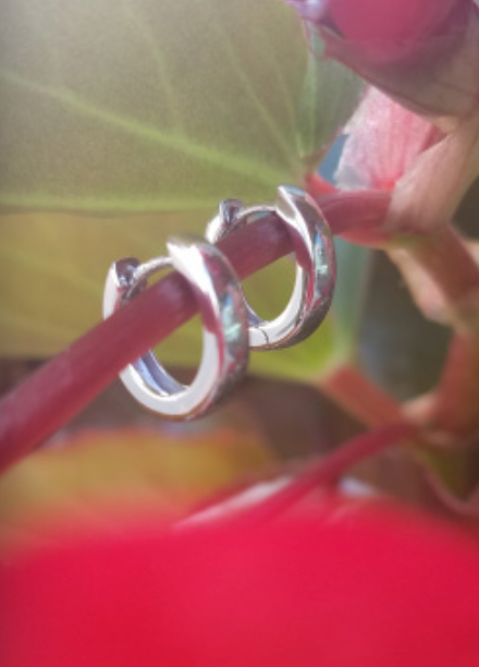 Hoop Earrings 2