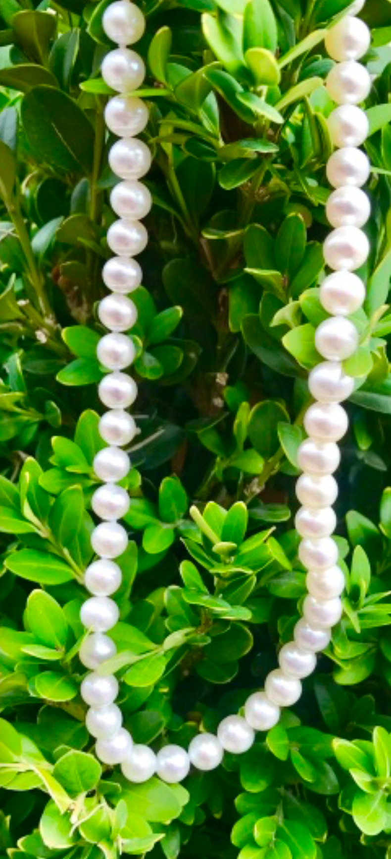 Freshwater Pearl Necklace - 16"